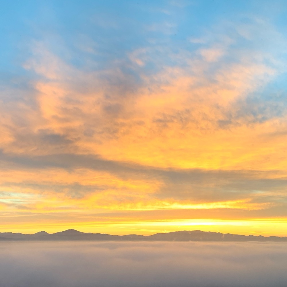 Meet your Posher, Danilyn